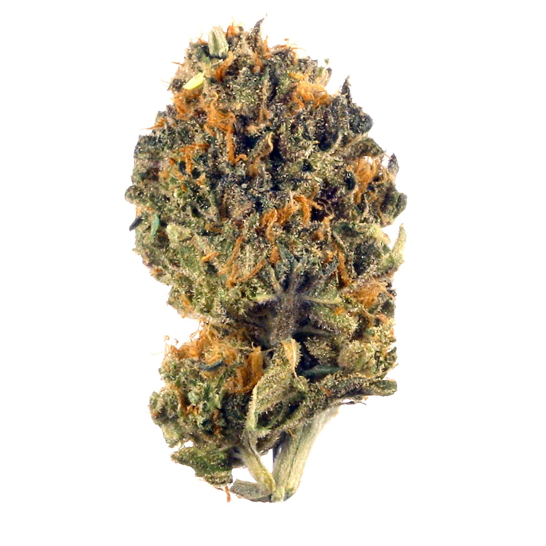 LA Kush Cake Marijuana Strain Information & Reviews AllBud