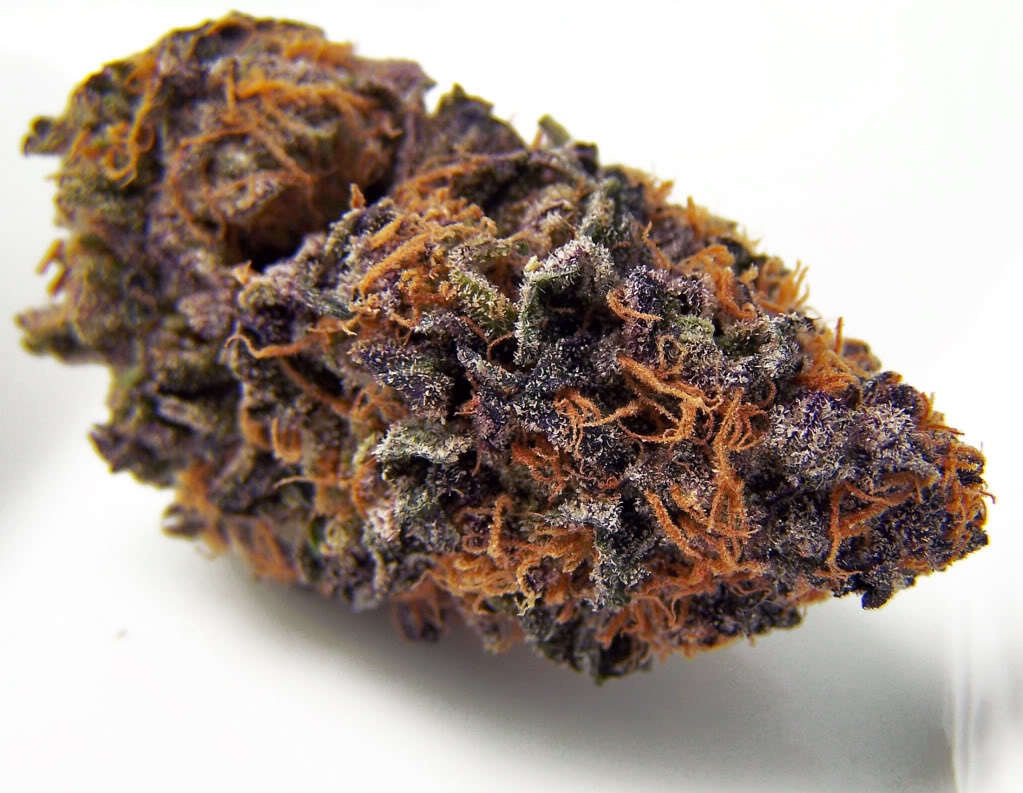 Lavender Hash Marijuana Strain Information & Reviews AllBud