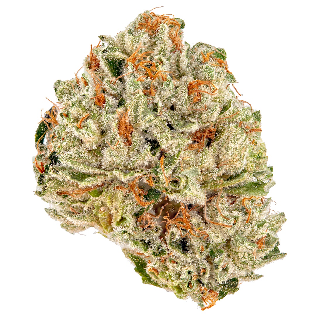 Lemon G-13 Marijuana Strain Information & Reviews | AllBud