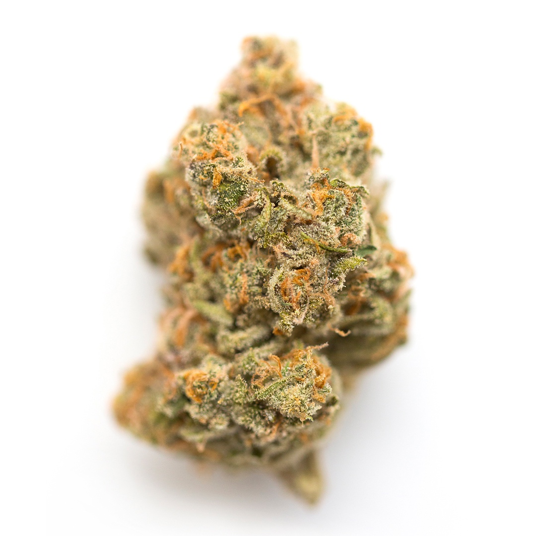 Lemon Marmalade Marijuana Strain Information & Reviews AllBud