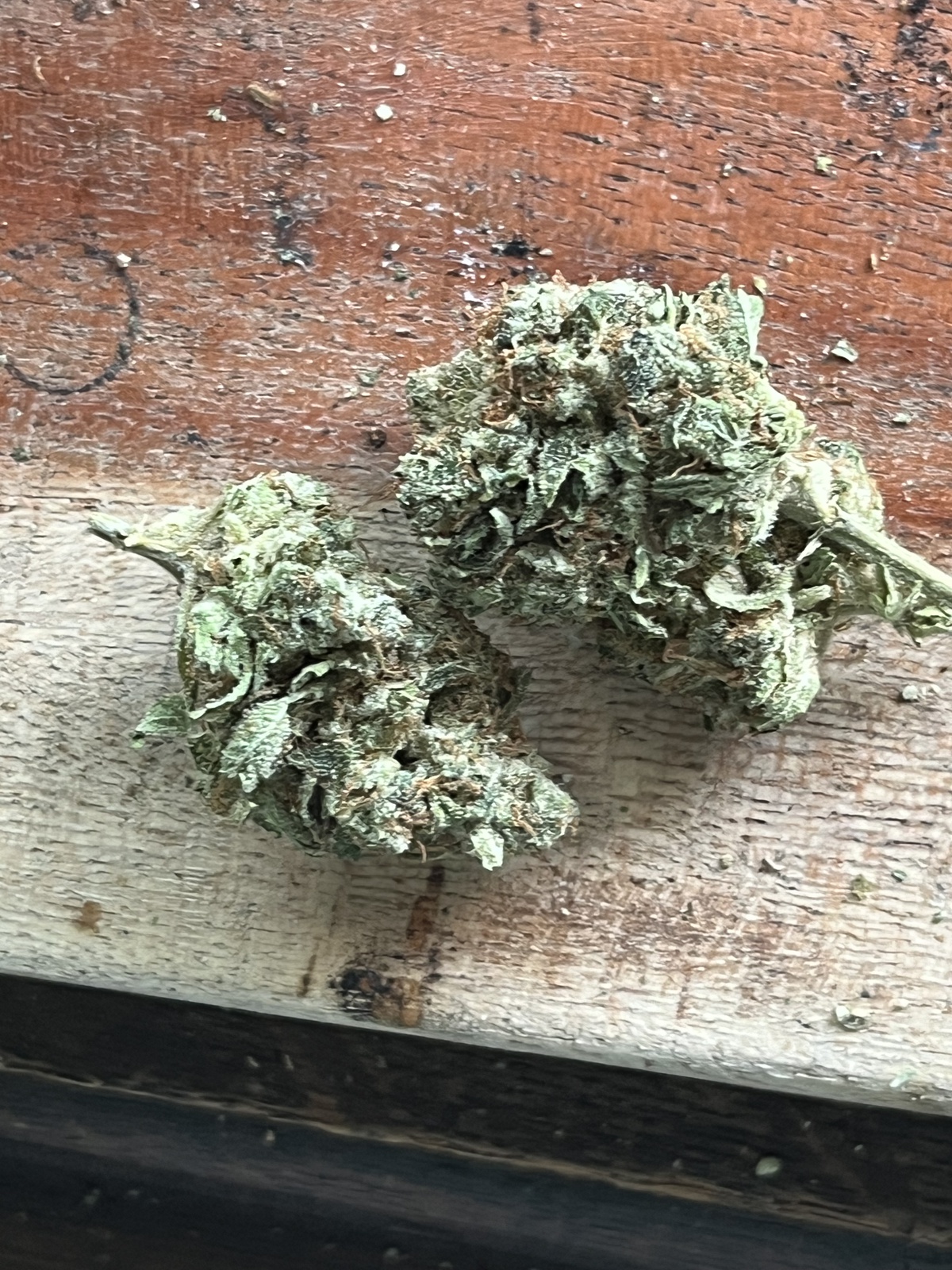 Lemon Peel harvested flower, as labeled by the cited photo source