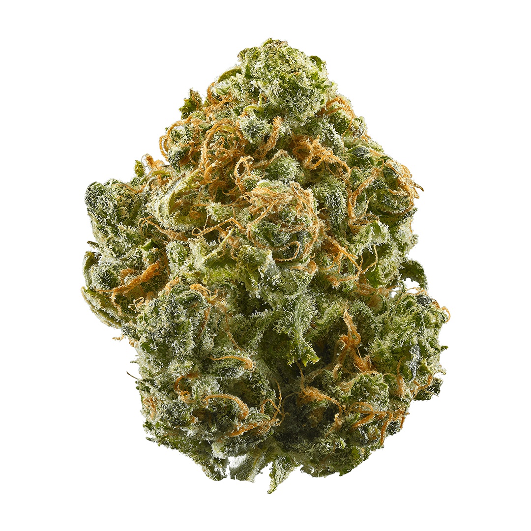 Lemonade Dream Marijuana Strain Information & Reviews AllBud