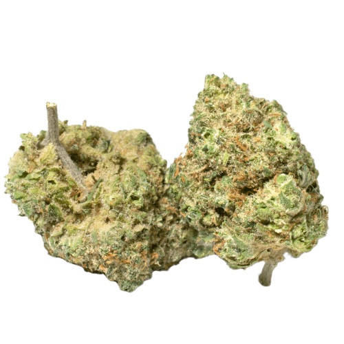 MAC Mints Marijuana Strain Information & Reviews AllBud