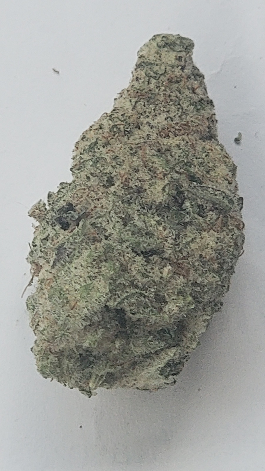 MAC N Cheese Marijuana Strain Information & Reviews AllBud