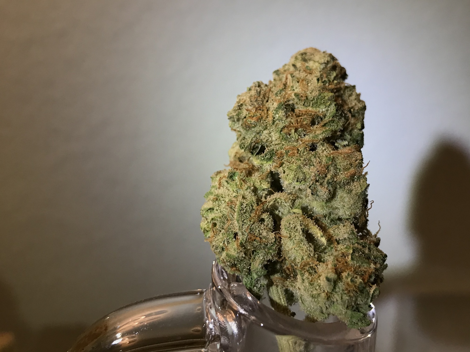 Mandarin Dreams Marijuana Strain Information & Reviews AllBud