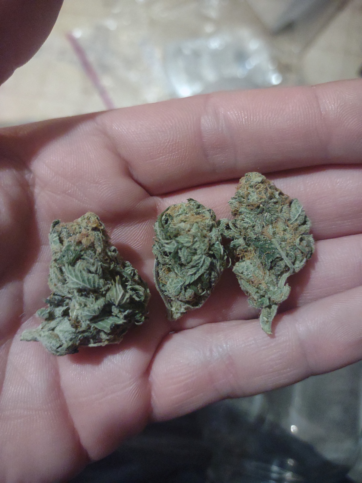 Mango Sherbet Marijuana Strain Information & Reviews AllBud
