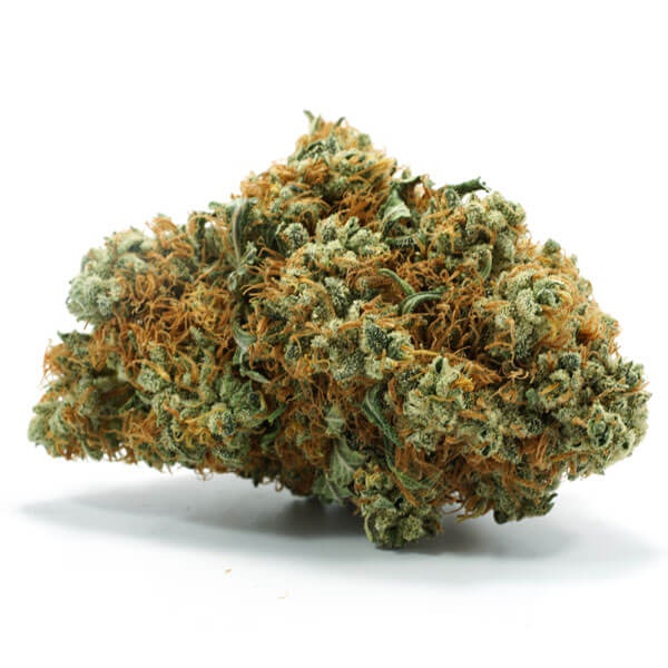 Mantis Marijuana Strain Information & Reviews AllBud
