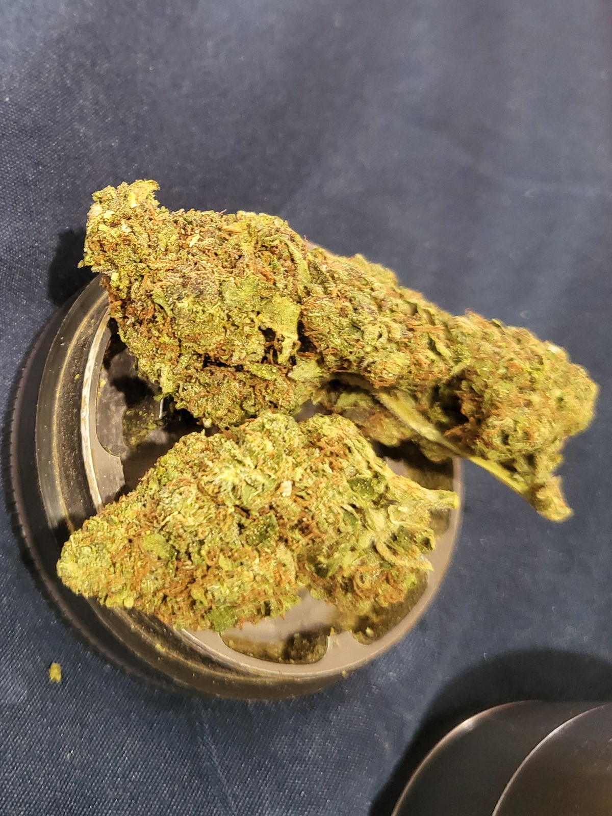 Icc Strain Allbud - kz7r64e
