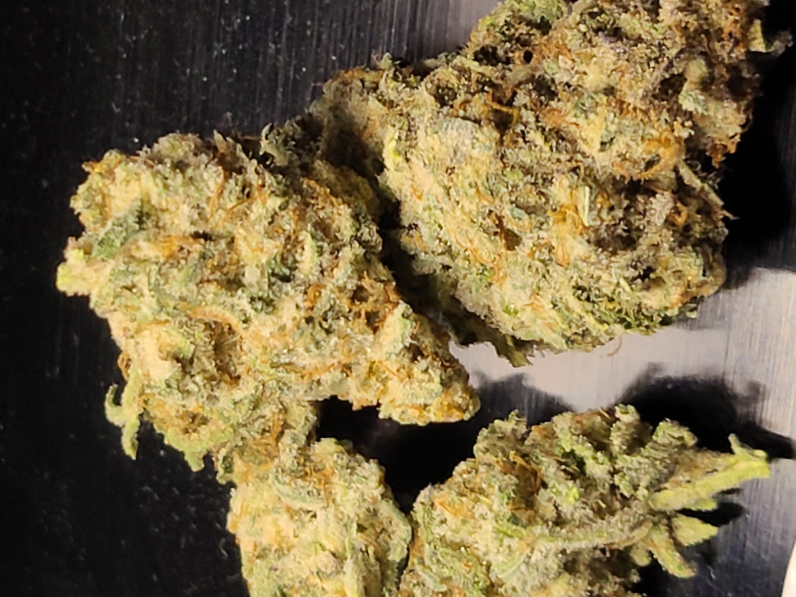 Martian Candy Marijuana Strain Information & Reviews | AllBud