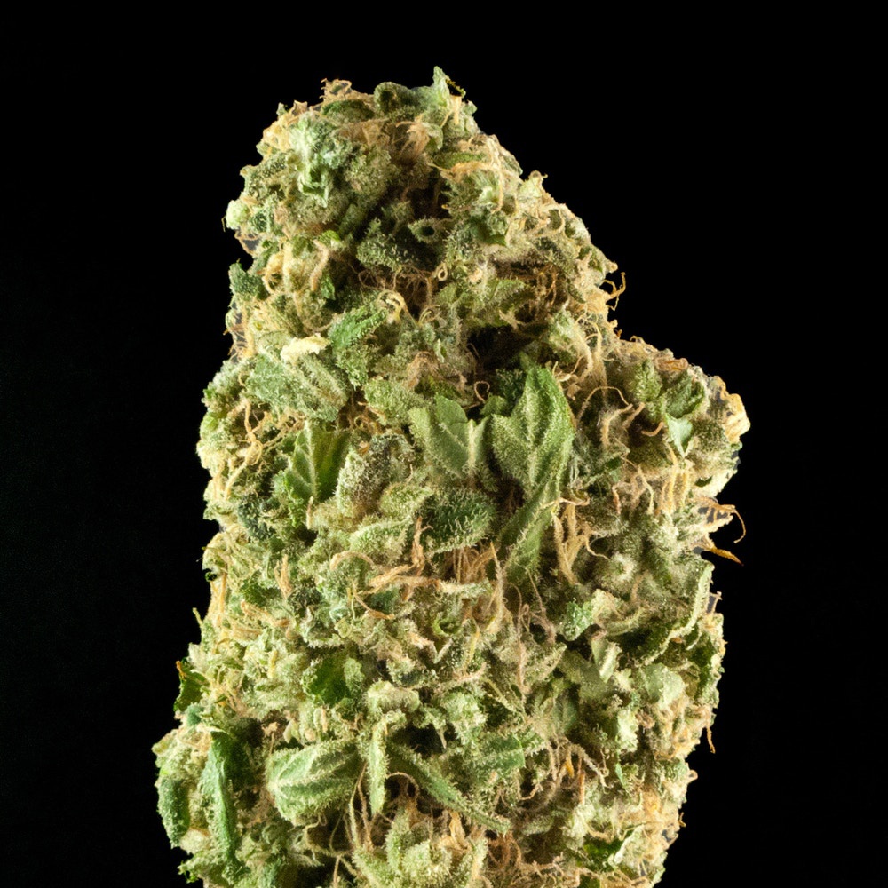 Matanuskan Mist flowering cannabis, as labeled by the cited image source