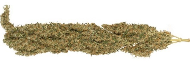 Mekong High archive 1