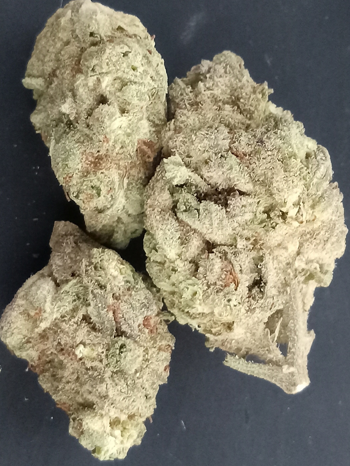 The Melon Marijuana Strain Information & Reviews AllBud