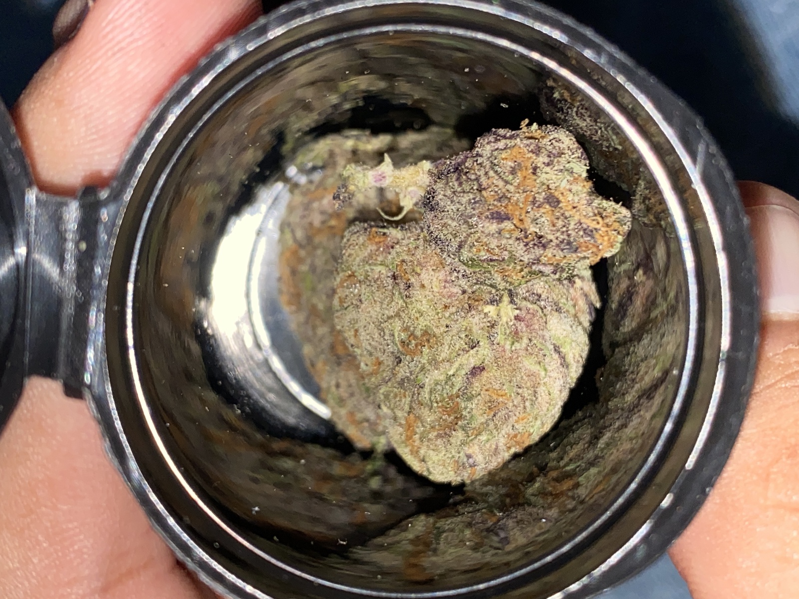 Mendo Grape Kush Marijuana Strain Information & Reviews AllBud