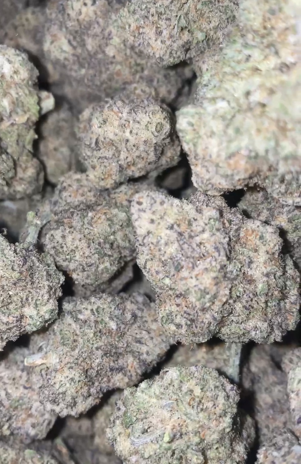 Menthol MAC Marijuana Strain Information & Reviews AllBud