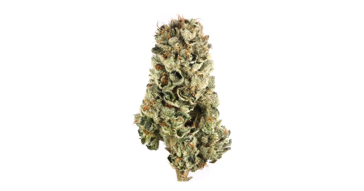 The Menthol Marijuana Strain Information & Reviews AllBud