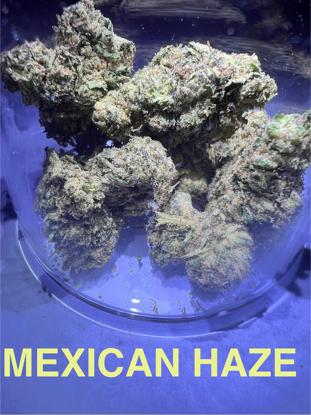 Mexican Haze
