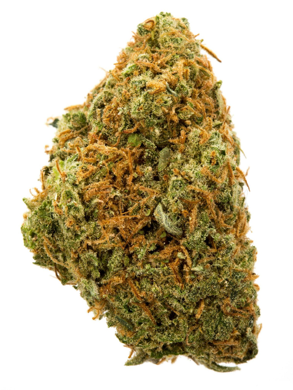 MIA Runtz harvested flower, as labeled by the cited photo source