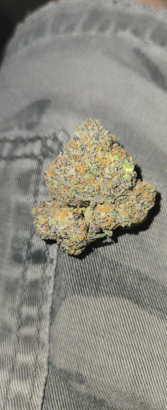 Mint Chocolate Gelato Marijuana Strain Information & Reviews AllBud