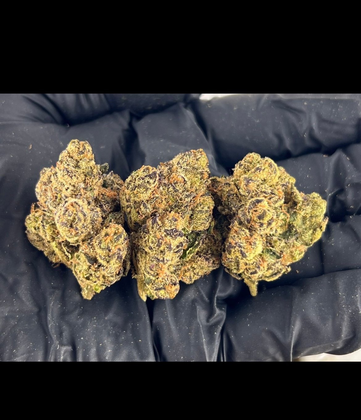 Mochi Runtz harvested flower, as labeled by the cited photo source