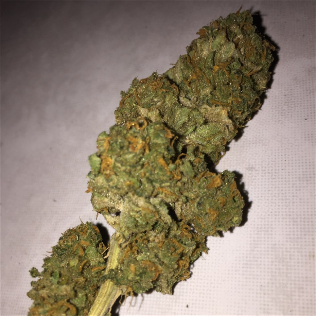Monkey Banana Marijuana Strain Information & Reviews AllBud