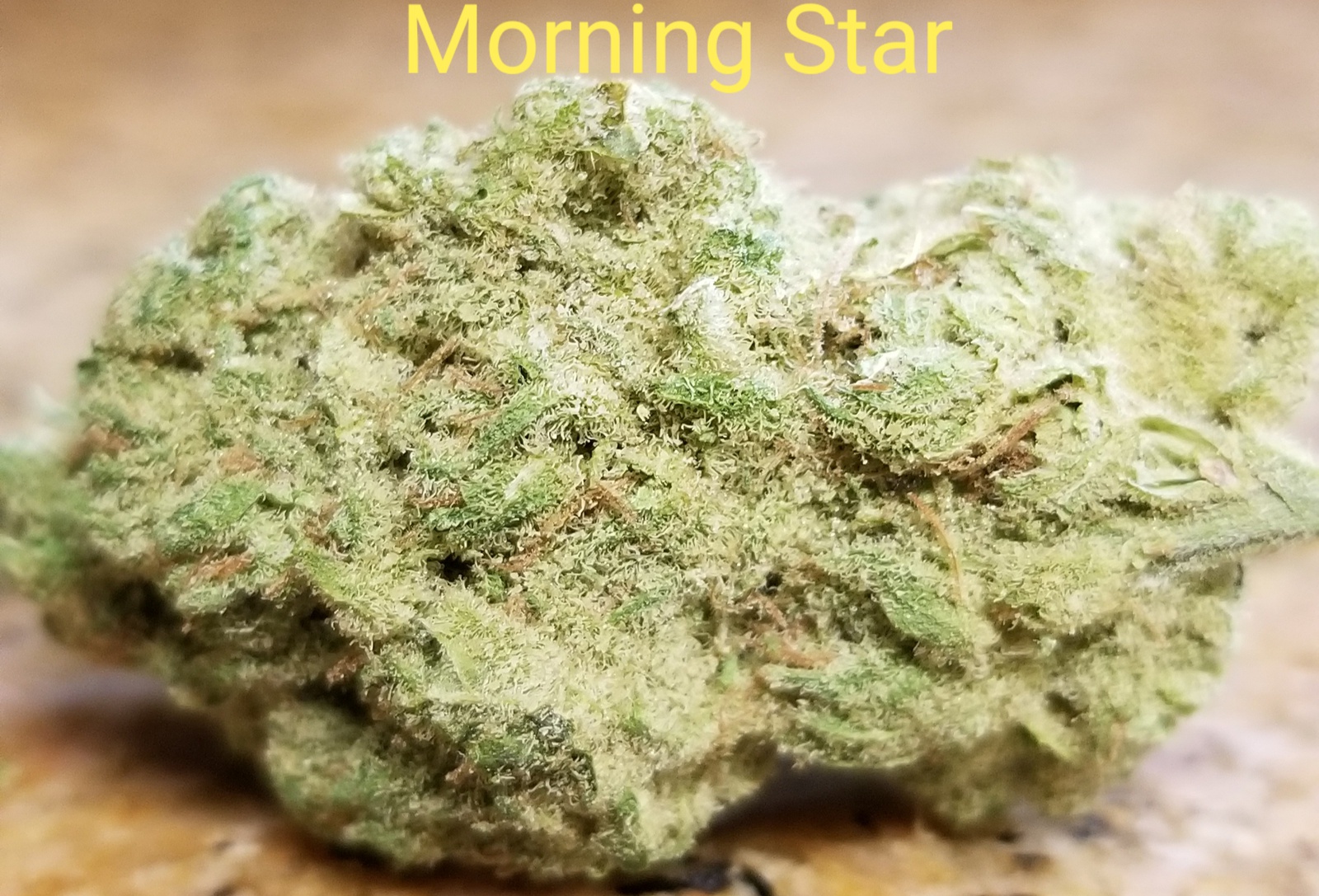 Morning Star Marijuana Strain Information & Reviews AllBud