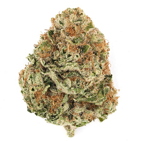 Motorhead Marijuana Strain Information & Reviews AllBud
