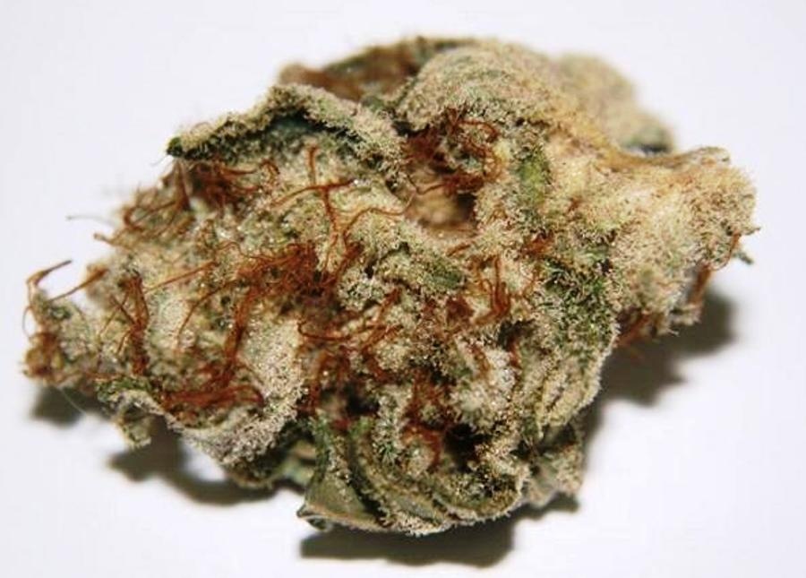Mountain Girl Marijuana Strain Information & Reviews AllBud