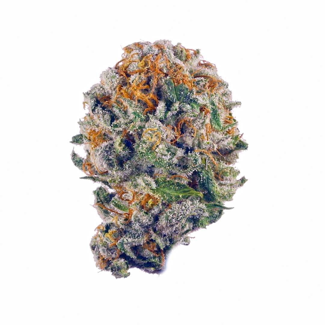 Moxie Marijuana Strain Information & Reviews AllBud