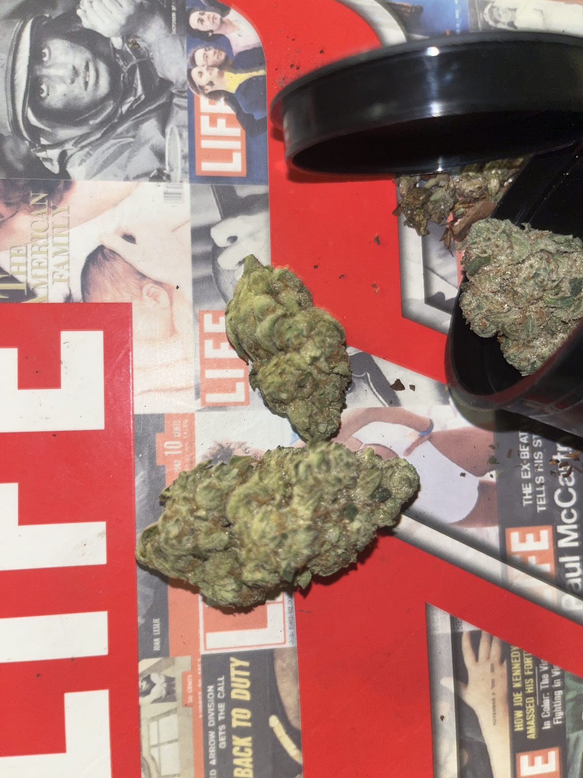 Mr. Nasty Marijuana Strain Information & Reviews AllBud