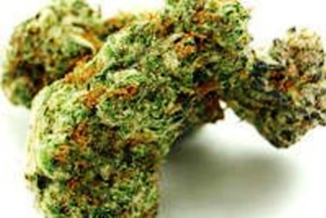 Nepalese Jam archive 1