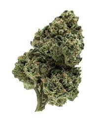 Notorious THC Marijuana Strain Information & Reviews | AllBud