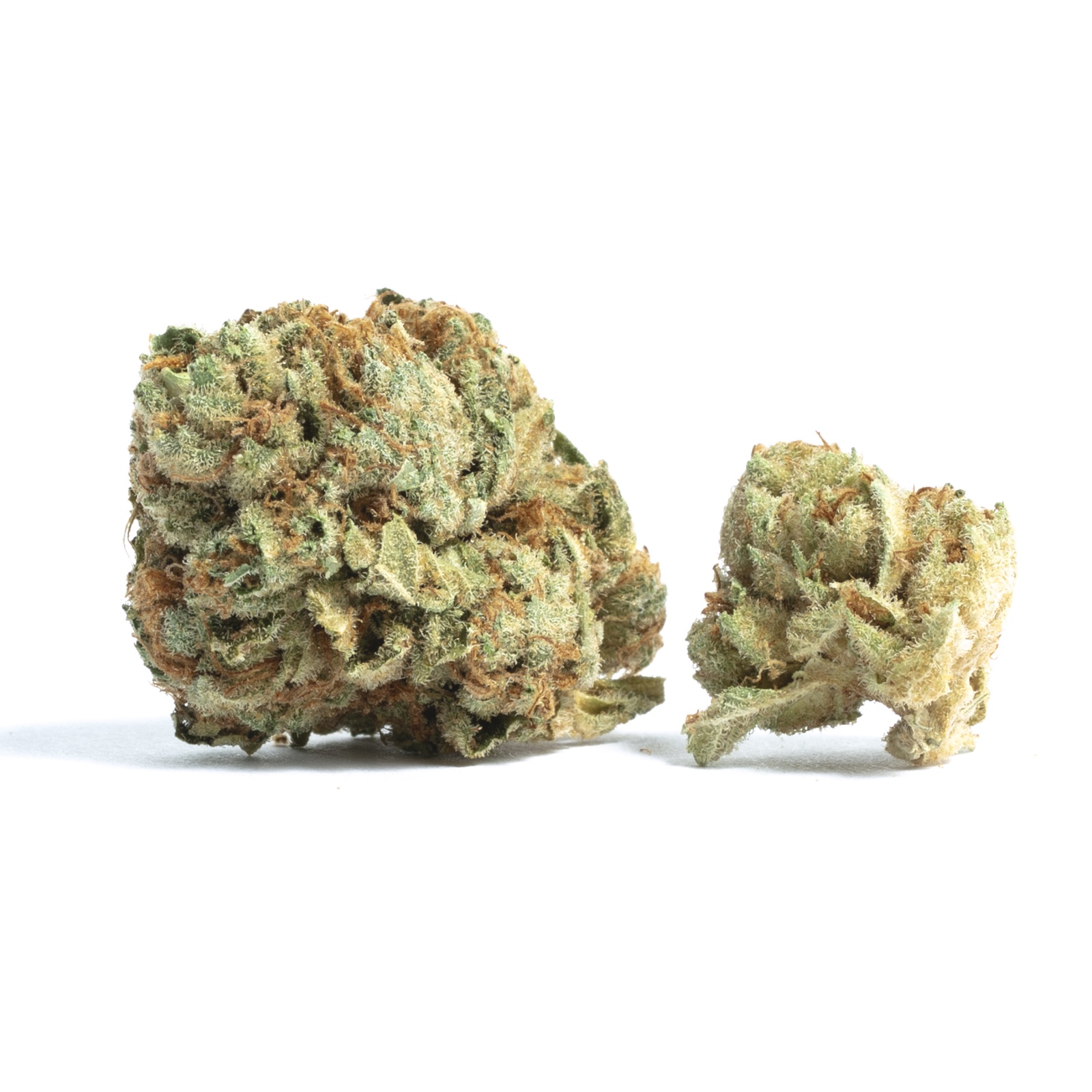 NW Frozen Marijuana Strain Information & Reviews AllBud