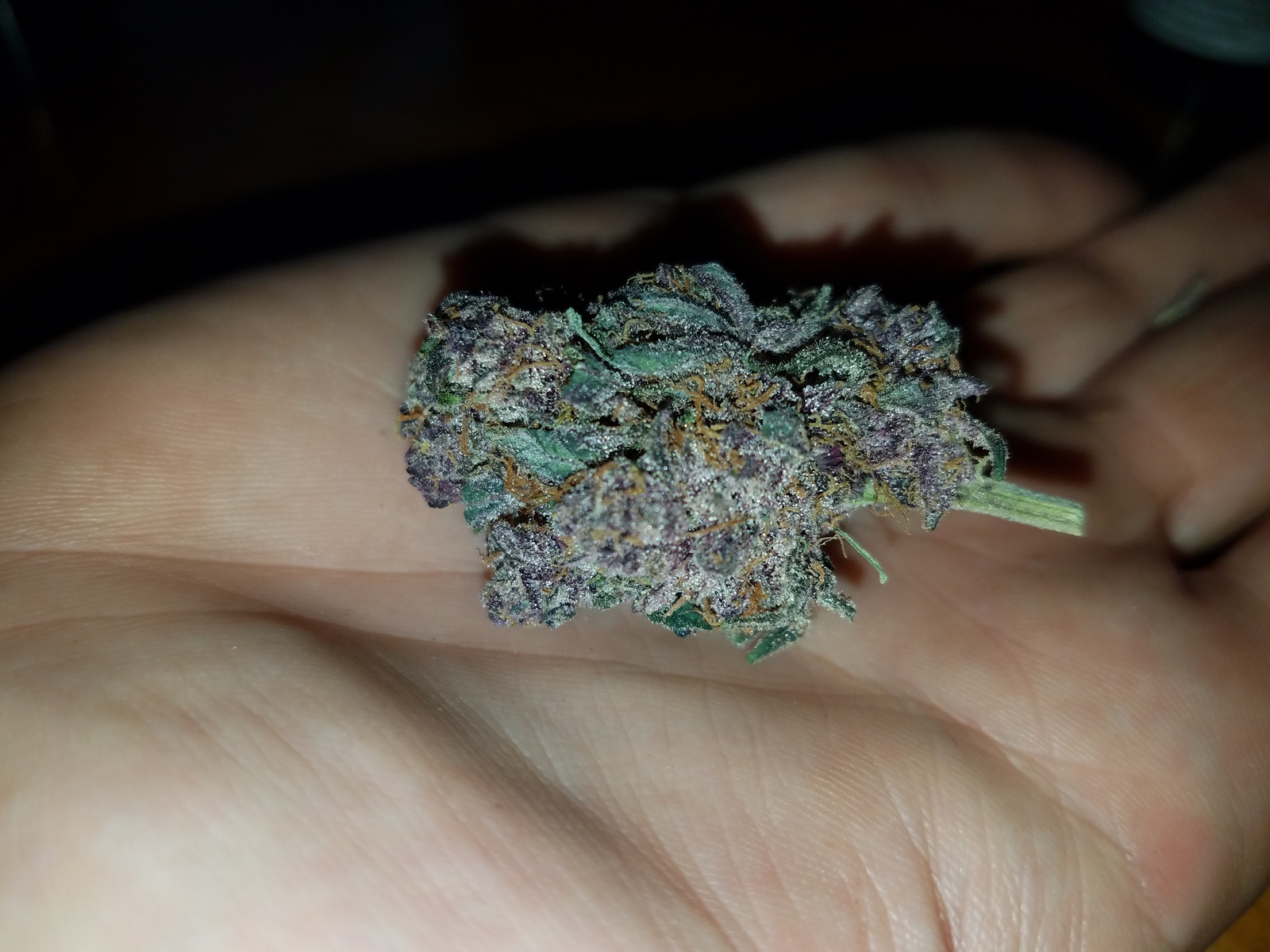 NYPD Marijuana Strain Information & Reviews AllBud