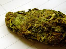 Oaxacan Gold archive 1