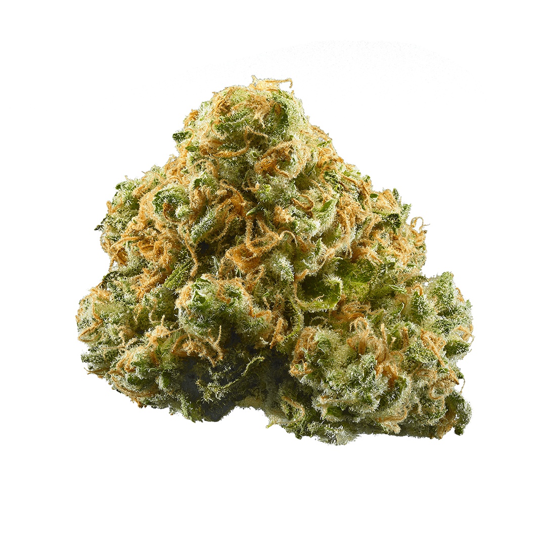 OBI Train Marijuana Strain Information & Reviews | AllBud