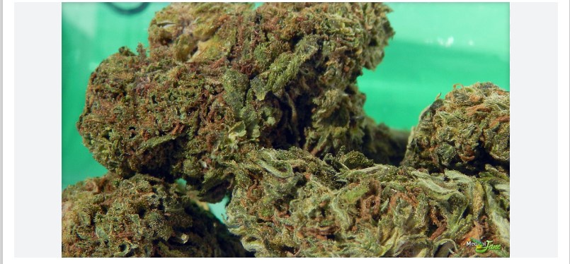 Ohio Candy Marijuana Strain Information & Reviews | AllBud