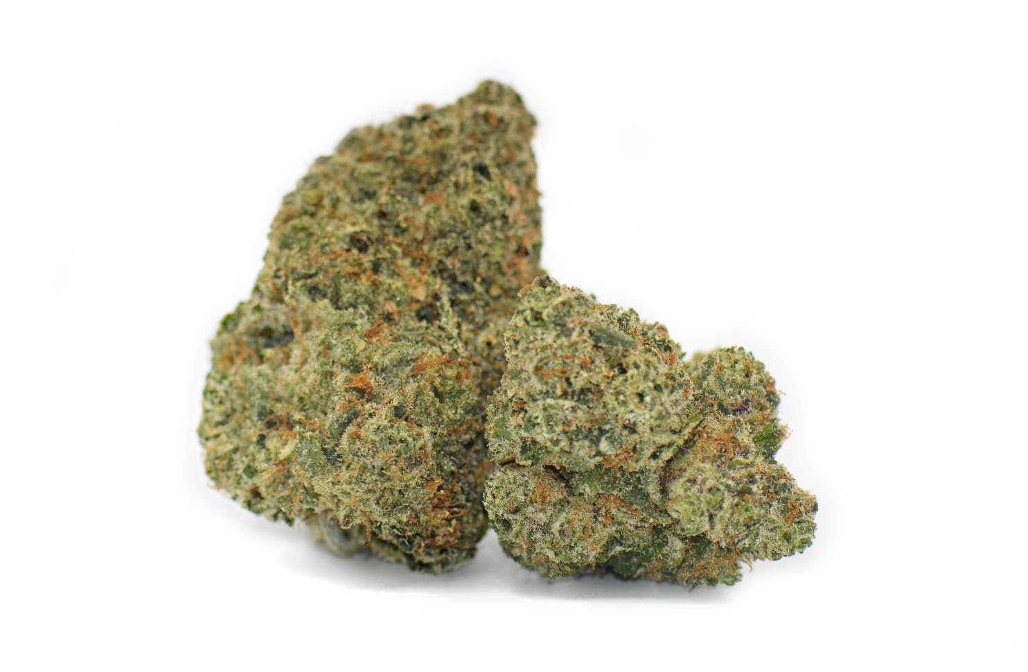 Orange Cookie Crasher Marijuana Strain Information & Reviews AllBud