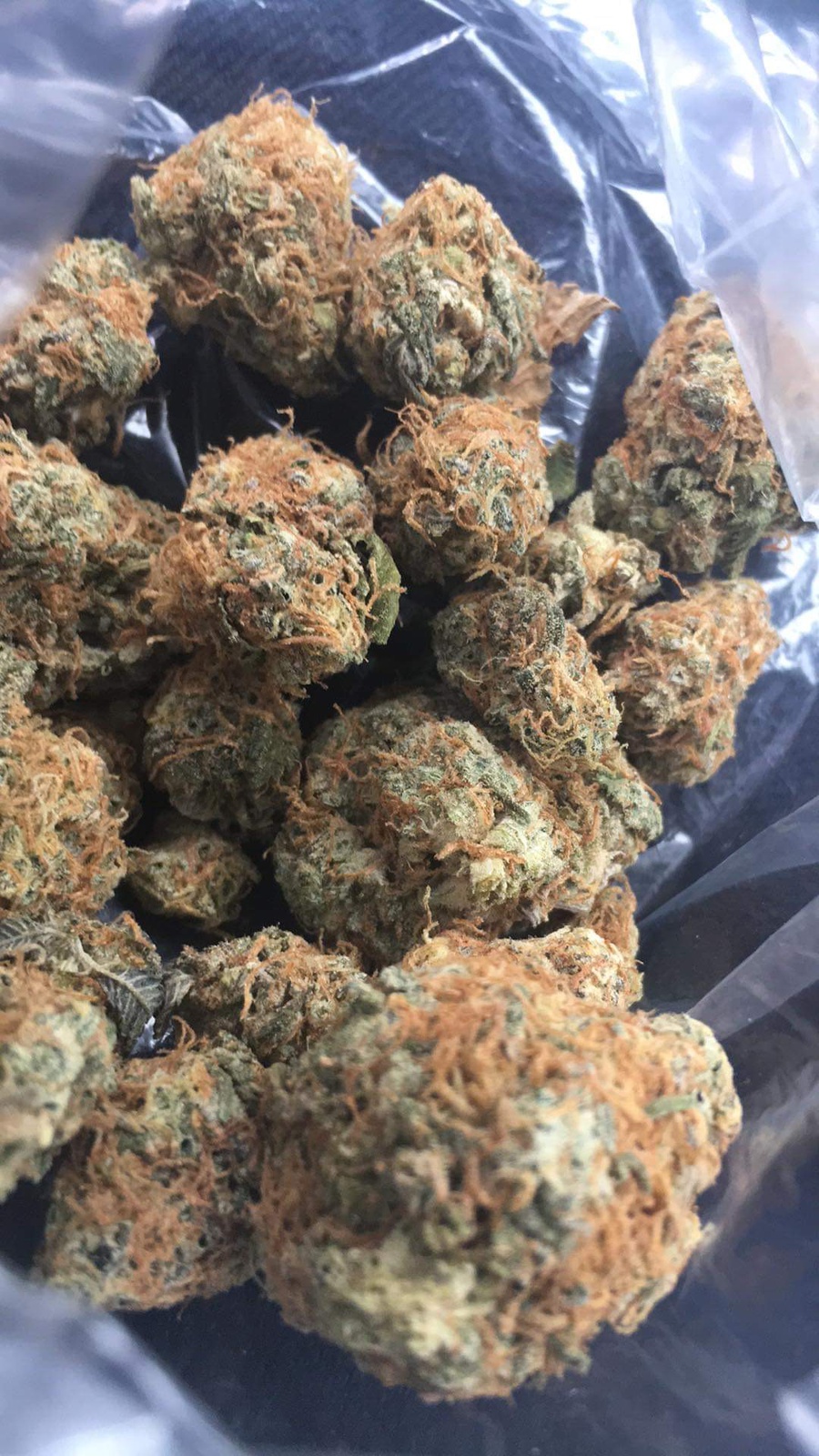 Orange Kush Breath Marijuana Strain Information & Reviews AllBud