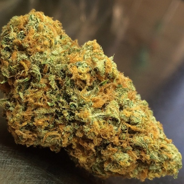 Orange Skunk Marijuana Strain Information & Reviews | AllBud