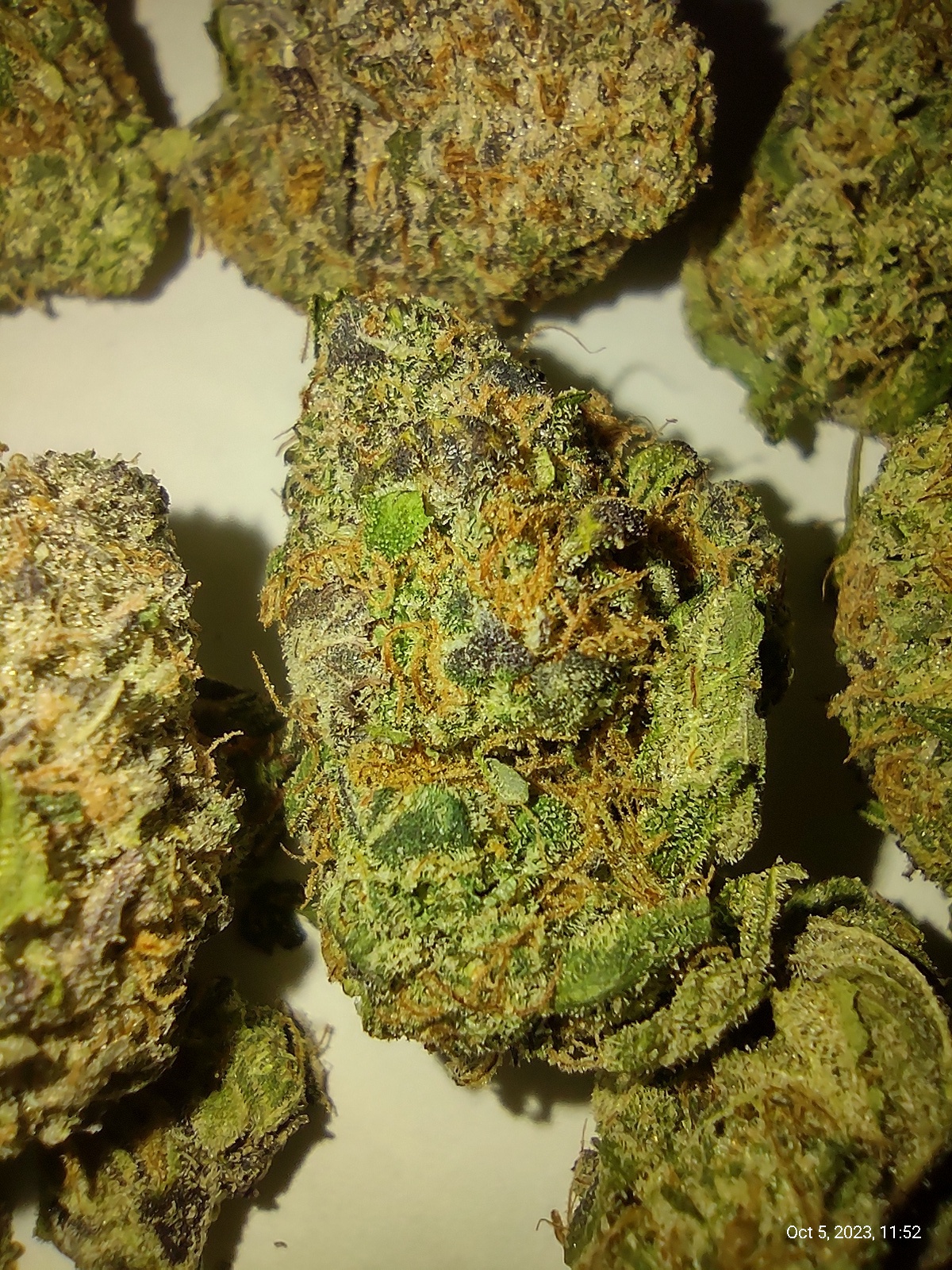 Orange Truffle Souffle Marijuana Strain Information & Reviews AllBud