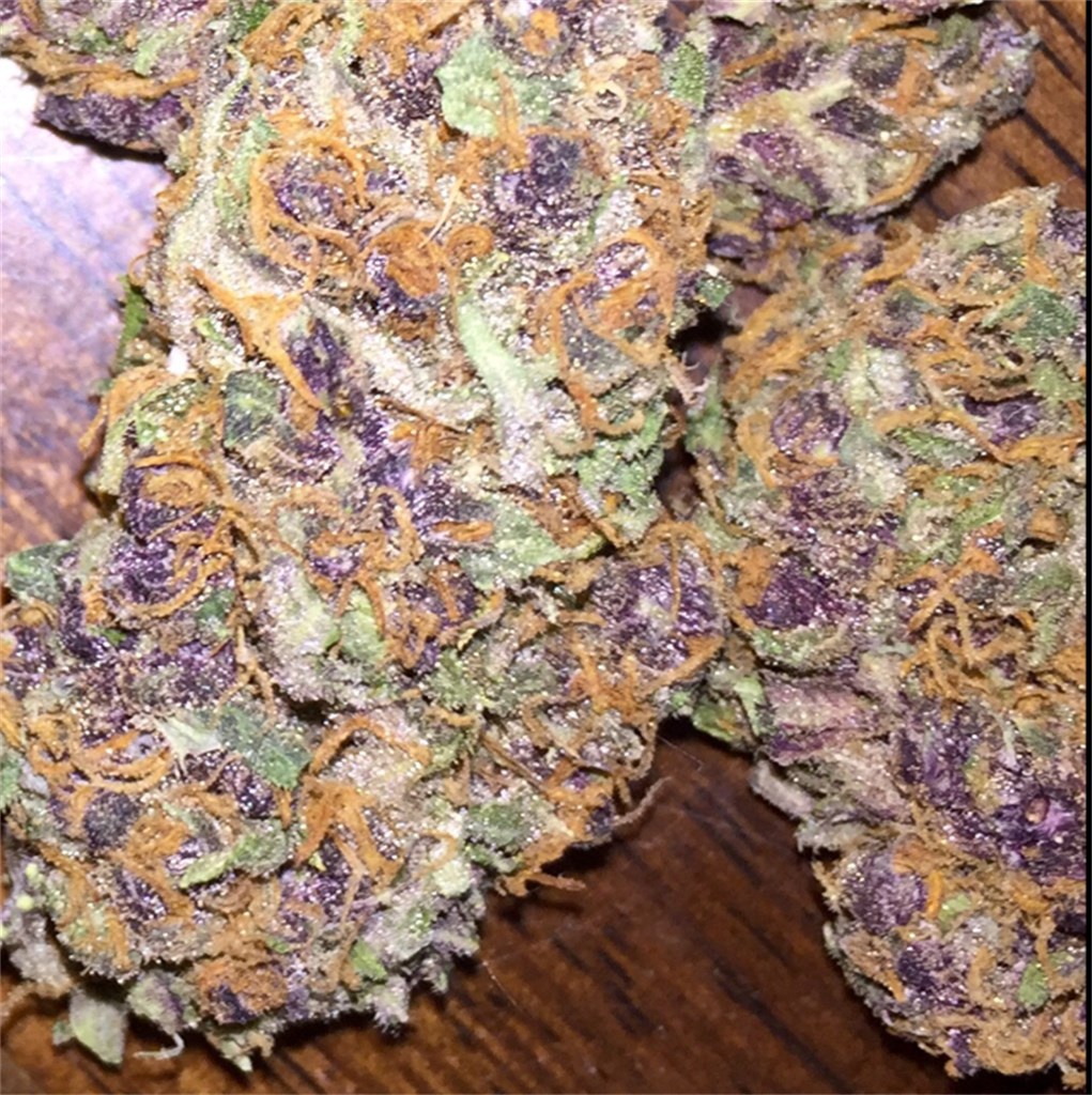 Orangesicle Marijuana Strain Information & Reviews AllBud