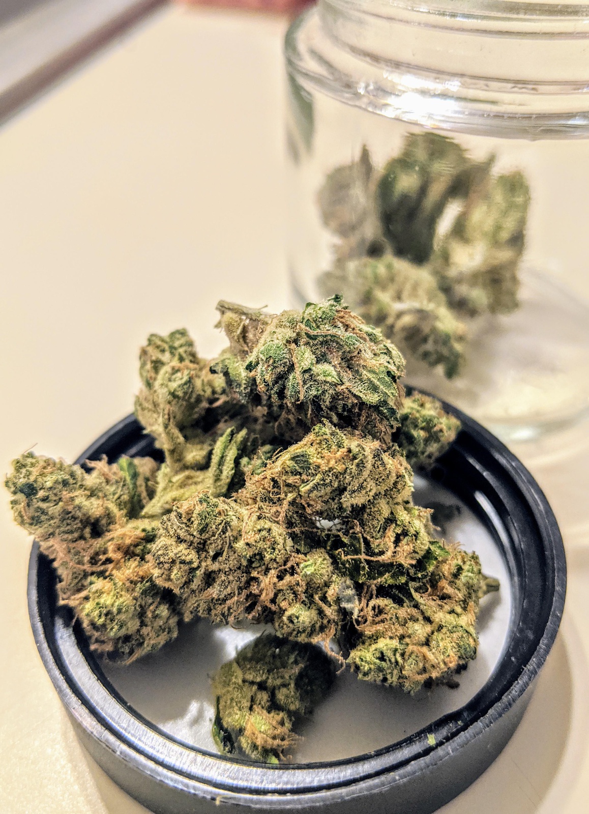 PA Dutch Marijuana Strain Information & Reviews AllBud