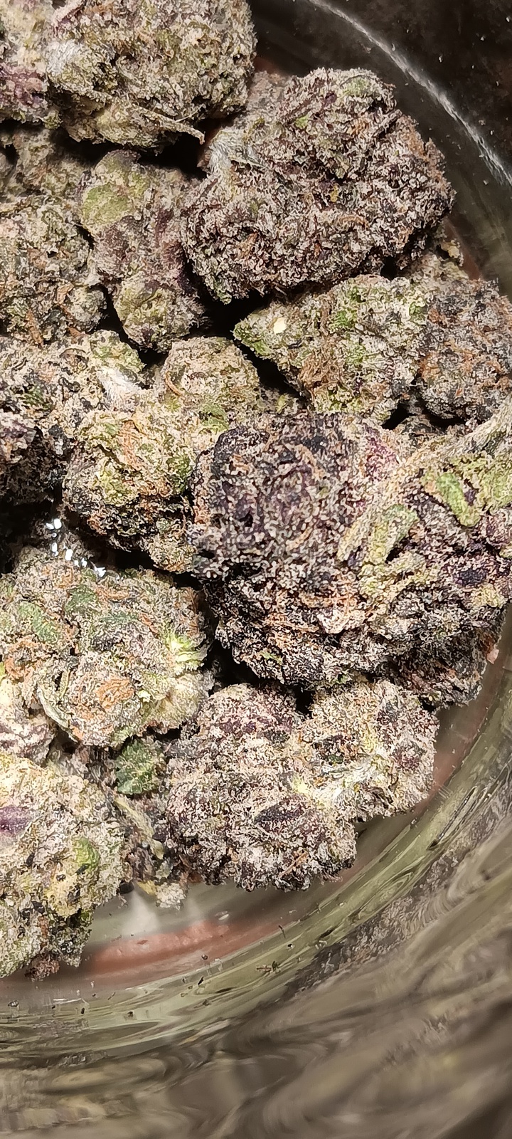 Peanut Butter Mintz Marijuana Strain Information & Reviews AllBud