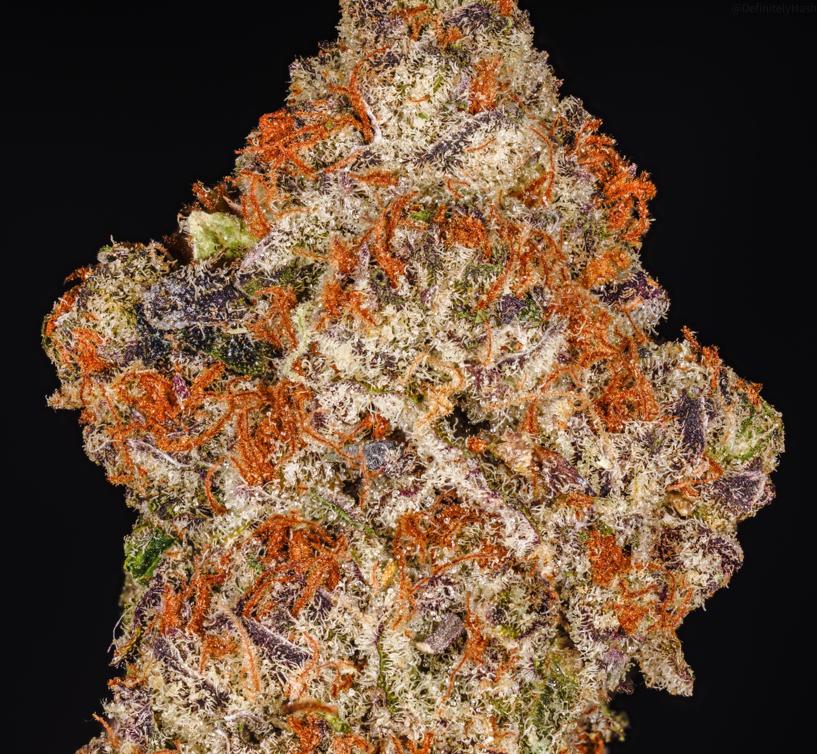 Peanut Butter Studly Marijuana Strain Information & Reviews AllBud