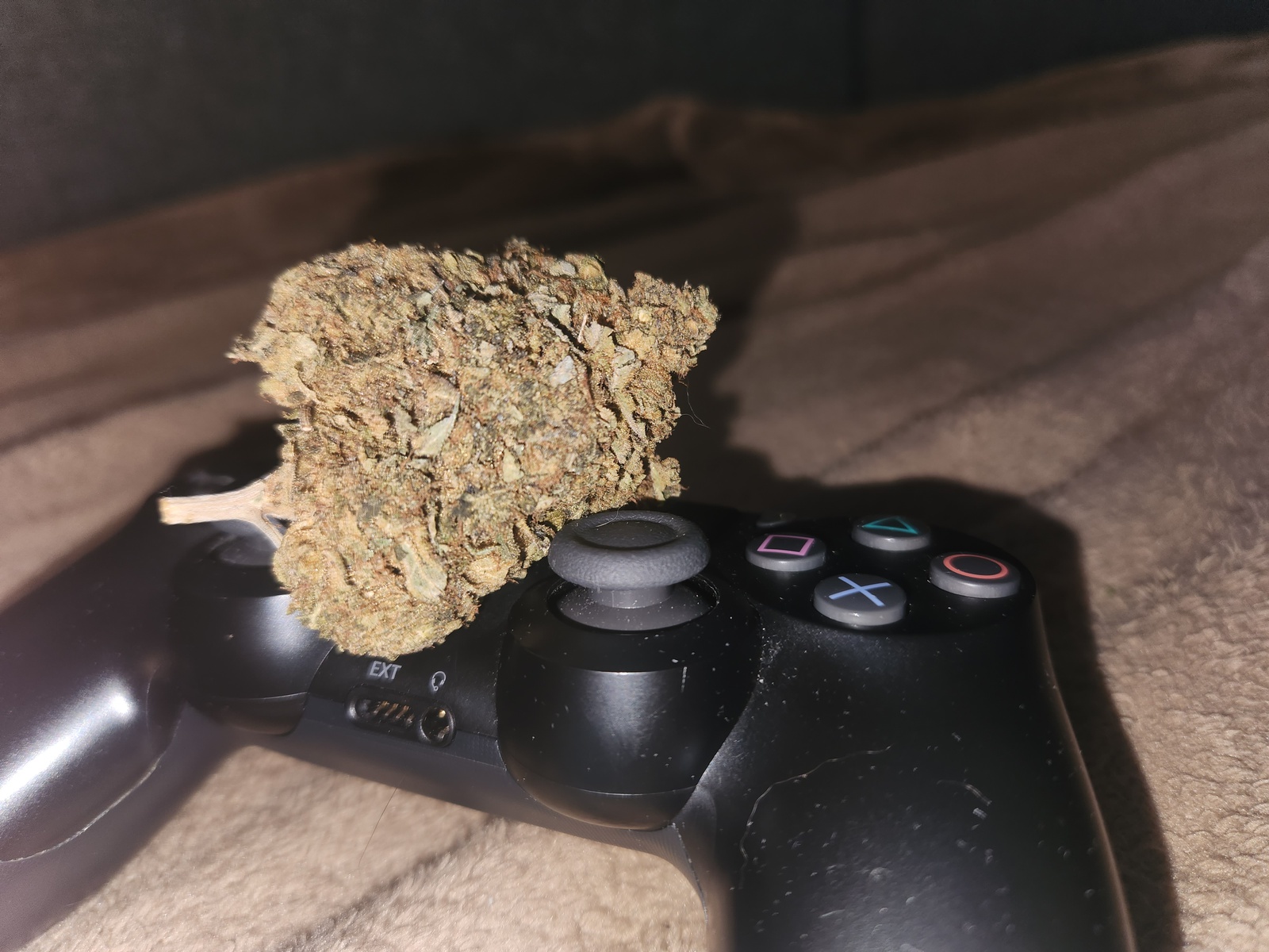 Peppermint Kush Marijuana Strain Information & Reviews AllBud