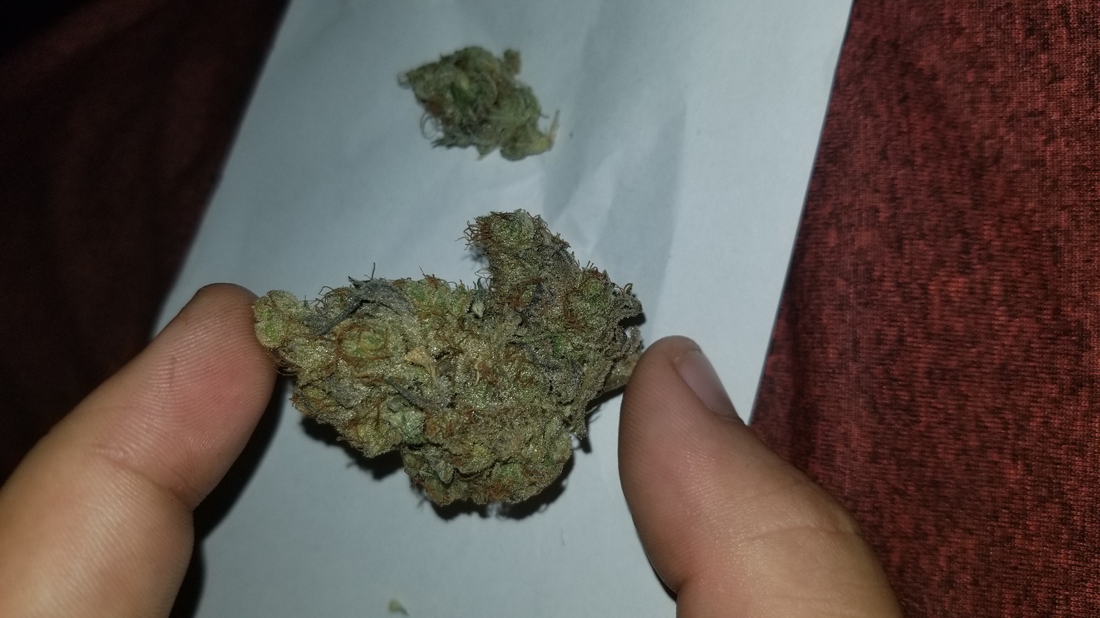 Petrol OG harvested flower, as labeled by the cited photo source