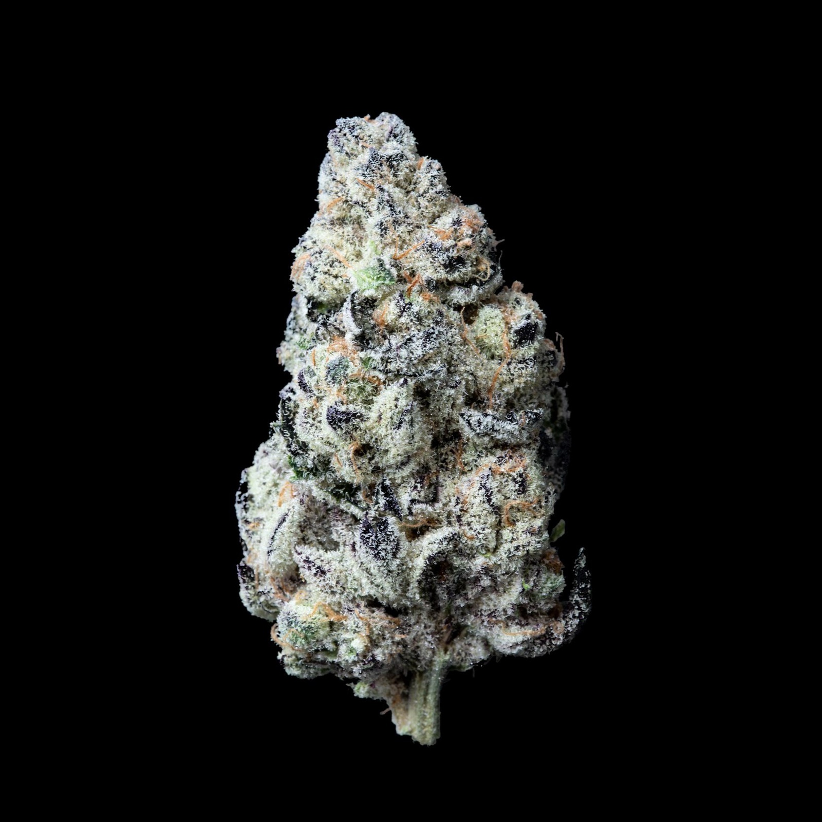 Pie Hoe Weed Strain at Glenda Taormina blog