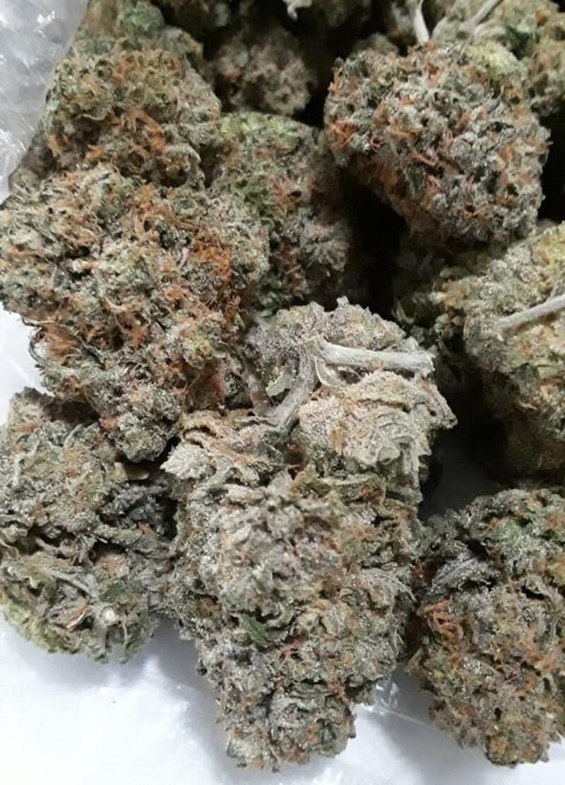 Pie Noir Marijuana Strain Information & Reviews AllBud