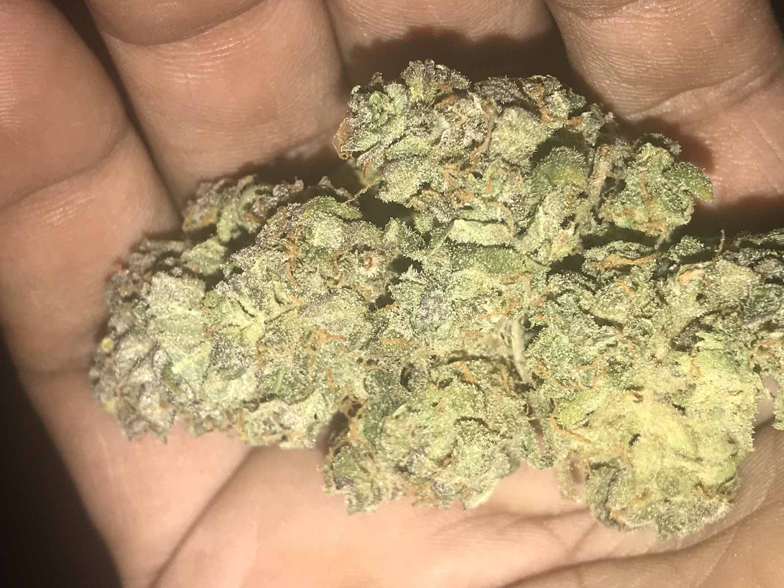 Pina Colada Marijuana Strain Information & Reviews AllBud