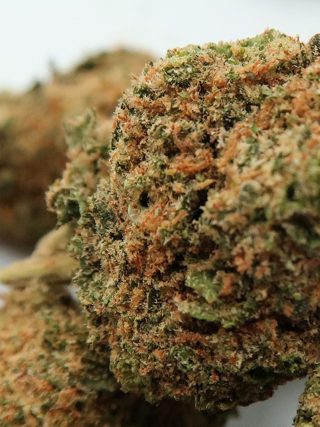 Pineapple Cheesecake Marijuana Strain Information & Reviews AllBud